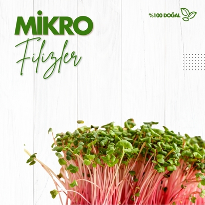 Mikro Filizler