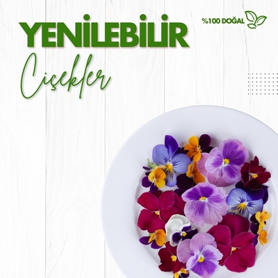 Yenilebilir Çiçekler